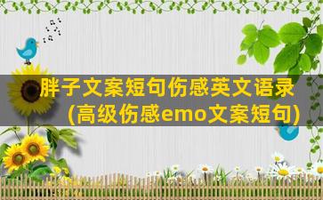 胖子文案短句伤感英文语录(高级伤感emo文案短句)