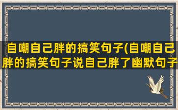 自嘲自己胖的搞笑句子(自嘲自己胖的搞笑句子说自己胖了幽默句子)