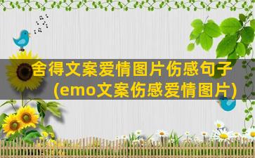 舍得文案爱情图片伤感句子(emo文案伤感爱情图片)