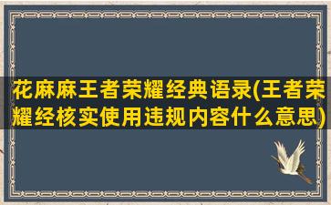 花麻麻王者荣耀经典语录(王者荣耀经核实使用违规内容什么意思)