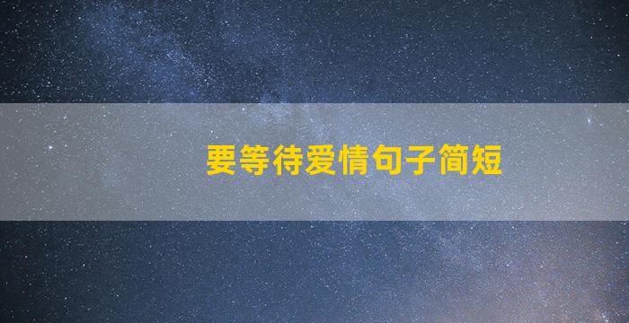 要等待爱情句子简短