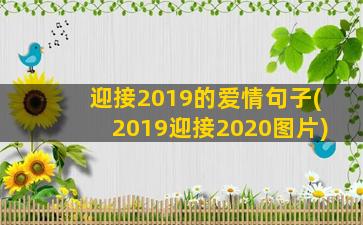 迎接2019的爱情句子(2019迎接2020图片)