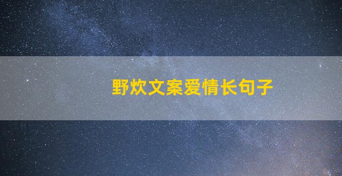 野炊文案爱情长句子