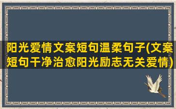 阳光爱情文案短句温柔句子(文案短句干净治愈阳光励志无关爱情)