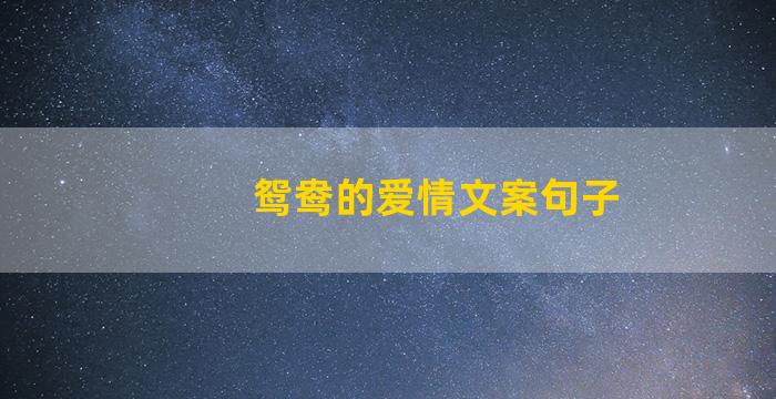 鸳鸯的爱情文案句子