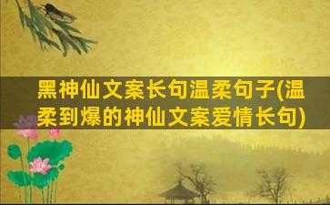 黑神仙文案长句温柔句子(温柔到爆的神仙文案爱情长句)